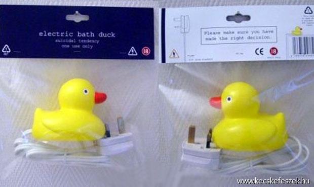 electric-bath-duck1.jpg